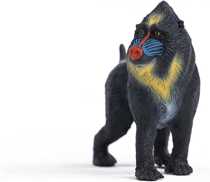 Schleich Wild Life Realistic Mandrill Monkey Figurine - Authentic and Highly Detailed Wild Animal Toy, Durable for Education and Fun Play for Kids, Perfect for Boys and Girls, Ages 3+ - Figurio