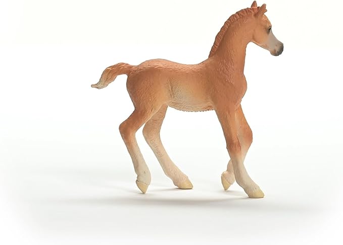 Schleich Horse Club New 2024 Horse Animal Toy Arab Foal Horse Figurine - Figurio