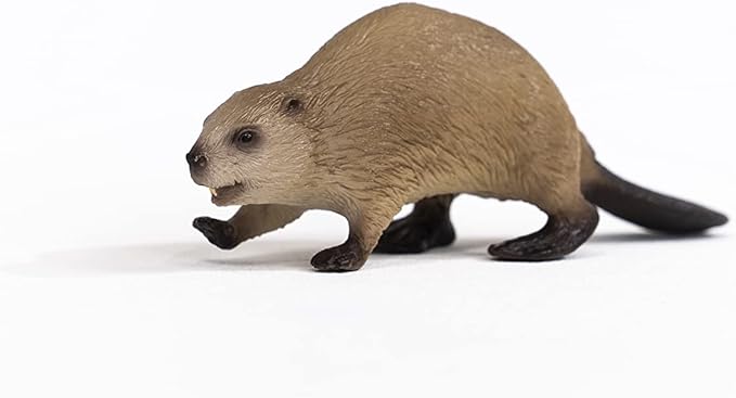 Schleich Wild Life, North American Woodland Wild Animal Toys for Kids, Beaver Toy Figurine - Figurio