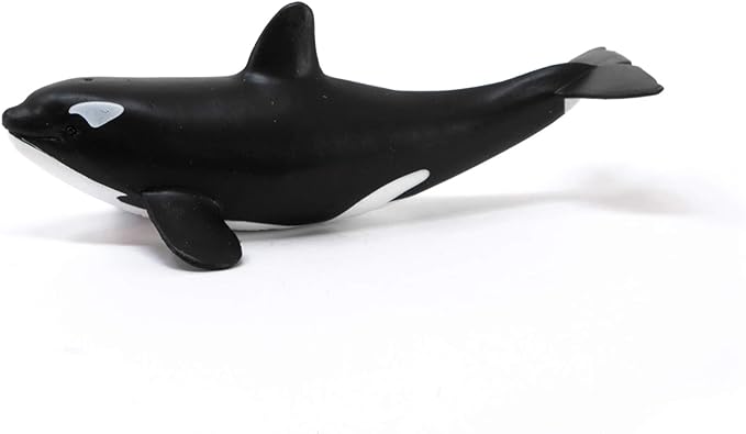 Schleich Wild Life, Ocean and Marine Life Toy Animals for Kids, Baby Orca Whale Toy Figurine, Ages 3+ - Figurio