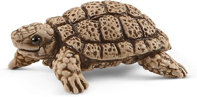 Schleich Wild Life 6-Piece Tortoise Toy Figure with Hatchlings and Turtle Home Playset for Kids Ages 3-8 (42506n) - Figurio