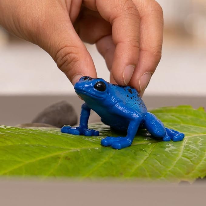 Schleich Wild Life New 2023, Wild Animal Rainforest Jungle Toys for Kids, Poison Dart Frog Toy, Blue, Ages 3+ - Figurio