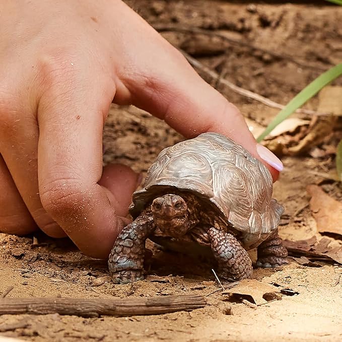 Schleich Wild Life Realistic Exotic Galapagos Giant Tortoise Figurine - Wild Animal Figurine Giant Tortoise Toy for Wildlife Play and Imagination for Toddlers Boys and Girls, Gift for Kids Age 3+ - Figurio