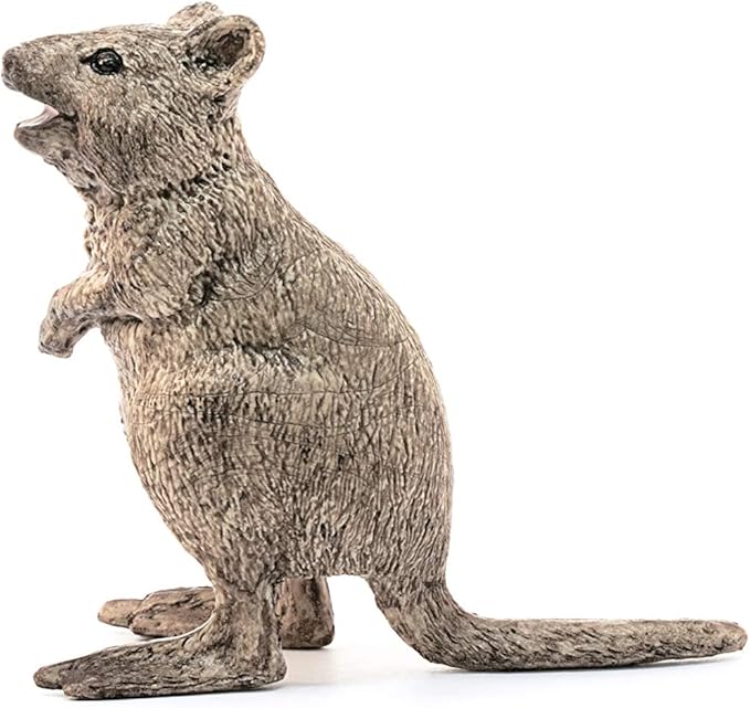 Schleich Wild Life, Animal Figurine, Animal Toys for Boys and Girls 3-8 Years Old, Quokka - Figurio