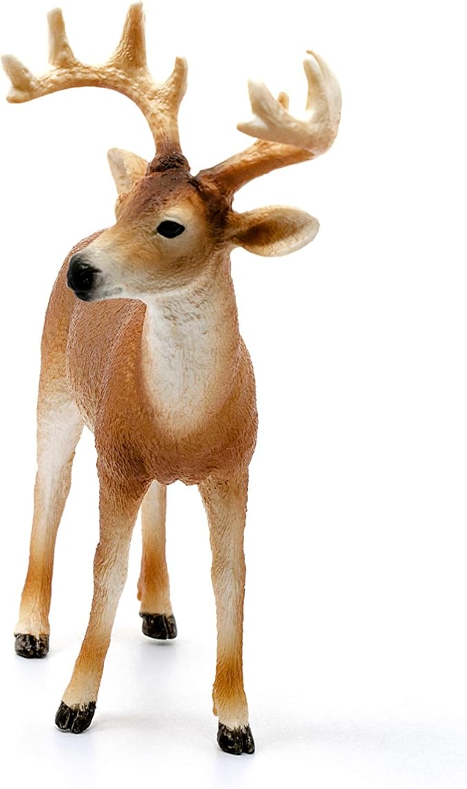 Schleich Wild Life, Animal Figurine, Animal Toys for Boys and Girls 3-8 Years Old, White-Tailed Buck, Ages 3+ - Figurio