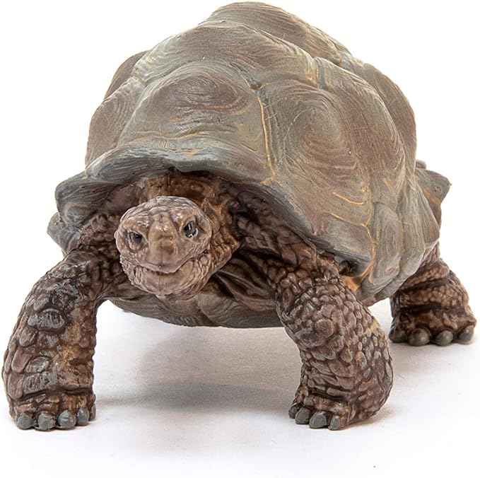 Schleich Wild Life Realistic Exotic Galapagos Giant Tortoise Figurine - Wild Animal Figurine Giant Tortoise Toy for Wildlife Play and Imagination for Toddlers Boys and Girls, Gift for Kids Age 3+ - Figurio