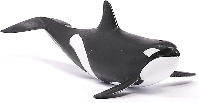 Schleich Wild Life, Animal Figurine, Animal Toys for Boys and Girls 3-8 Years Old, Killer Whale, Ages 3+ - Figurio