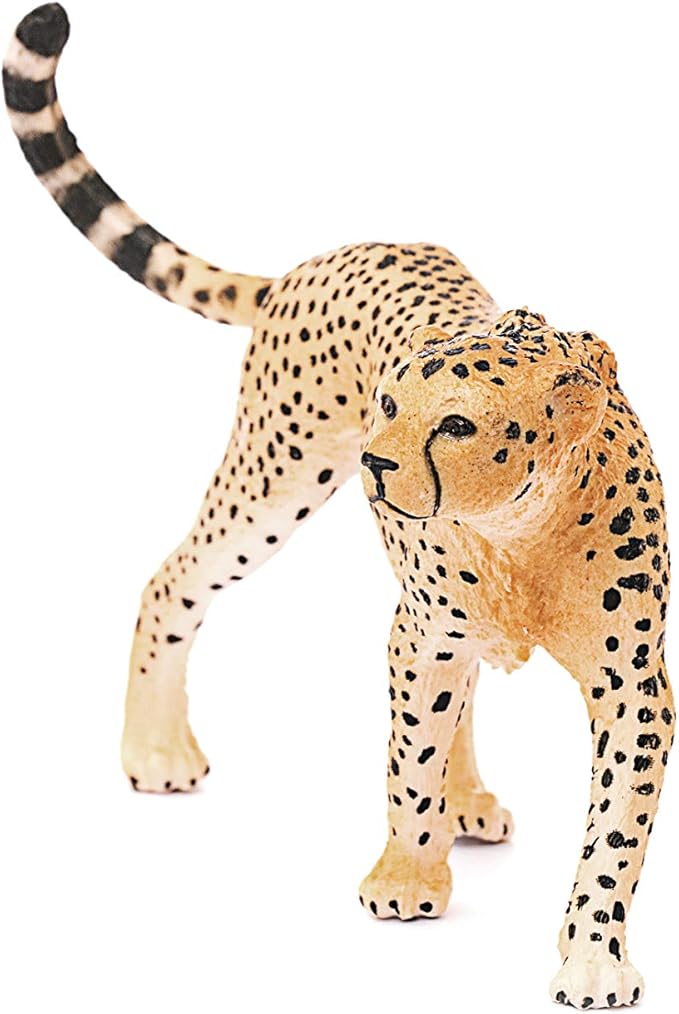 Schleich Wild Life Realistic Female Cheetah Figurine - Authentic and Highly Detailed Wild Animal Toy, Durable for Education and Fun Play for Kids, Perfect for Boys and Girls, Ages 3+ - Figurio