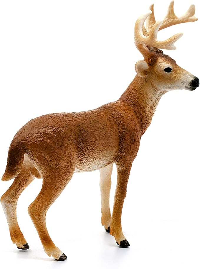 Schleich Wild Life, Animal Figurine, Animal Toys for Boys and Girls 3-8 Years Old, White-Tailed Buck, Ages 3+ - Figurio