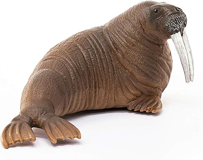 Schleich Wild Life, Animal Figurine, Animal Toys for Boys and Girls 3-8 Years Old, Walrus - Figurio