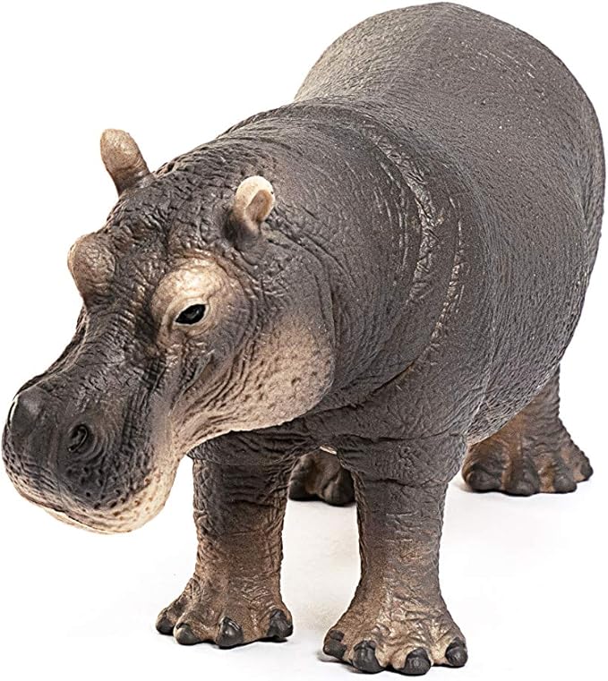 Schleich Wild Life Realistic Detailed Hippopotamus Figurine - Wild Hippo Figurine Toy for Play and Education, Highly Durable and Detailed, for Boys and Girls, Gift for Kids Ages 3+ - Figurio