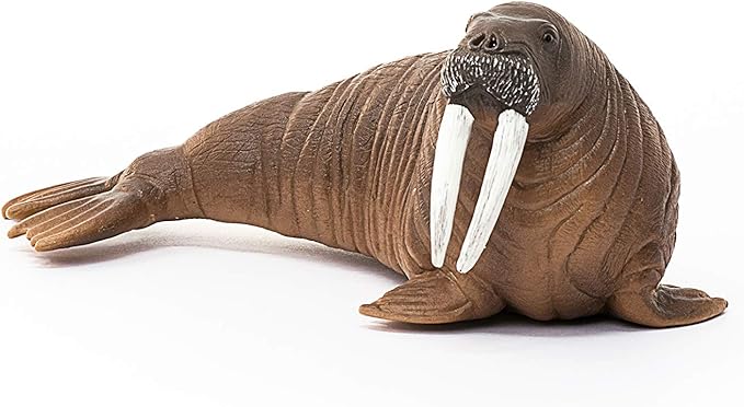 Schleich Wild Life, Animal Figurine, Animal Toys for Boys and Girls 3-8 Years Old, Walrus - Figurio