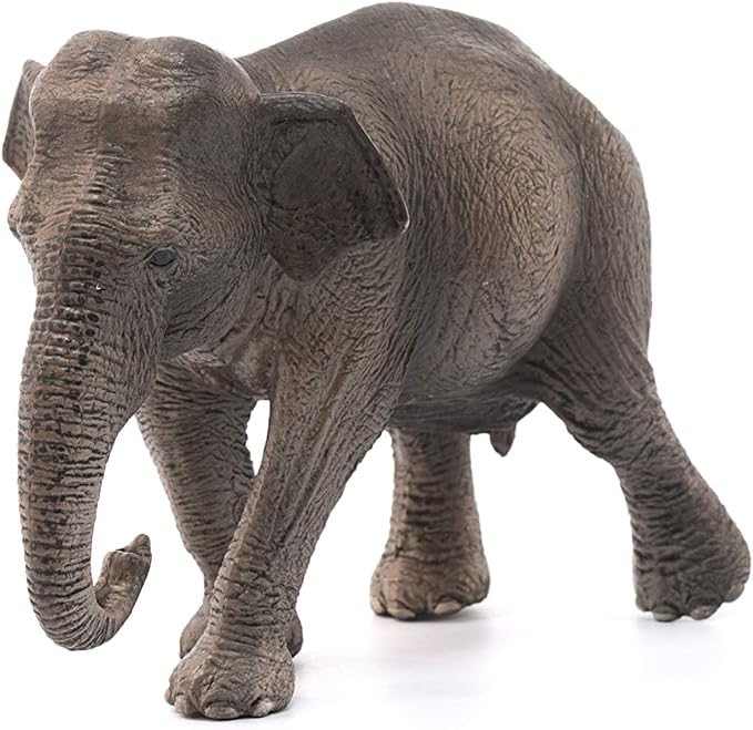 Schleich Wild Life, Realistic Wild Animal Toys for Boys and Girls, Female Asian Elephant Toy Figurine, Ages 3+ - Figurio