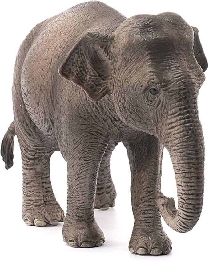 Schleich Wild Life, Realistic Wild Animal Toys for Boys and Girls, Female Asian Elephant Toy Figurine, Ages 3+ - Figurio