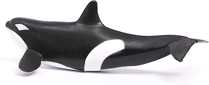 Schleich Wild Life, Animal Figurine, Animal Toys for Boys and Girls 3-8 Years Old, Killer Whale, Ages 3+ - Figurio