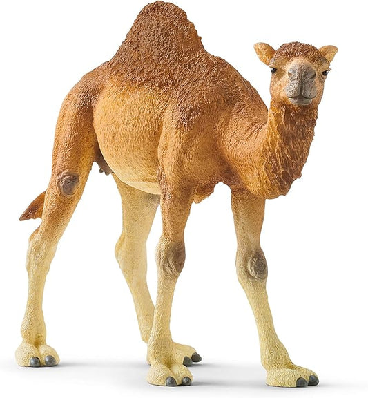 Schleich Wild Life Realistic Dromedary Camel Figurine - Authentic and Highly Detailed Wild Animal Toy, Durable for Education and Fun Play, Perfect for Boys and Girls, Ages 3+, Multicolor, 3.9 inch - Figurio