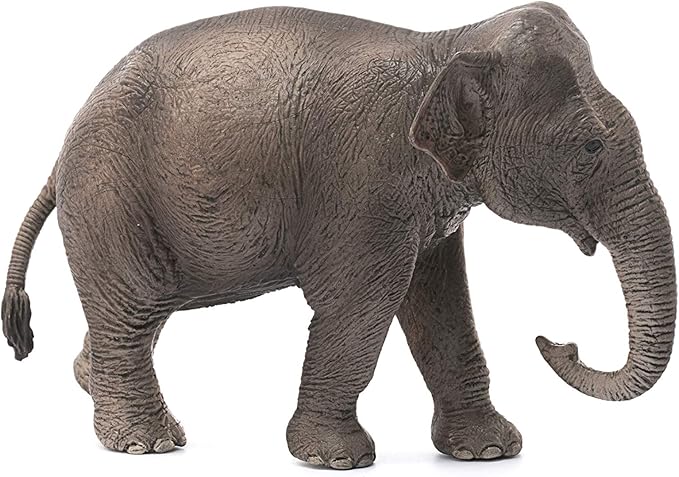 Schleich Wild Life, Realistic Wild Animal Toys for Boys and Girls, Female Asian Elephant Toy Figurine, Ages 3+ - Figurio