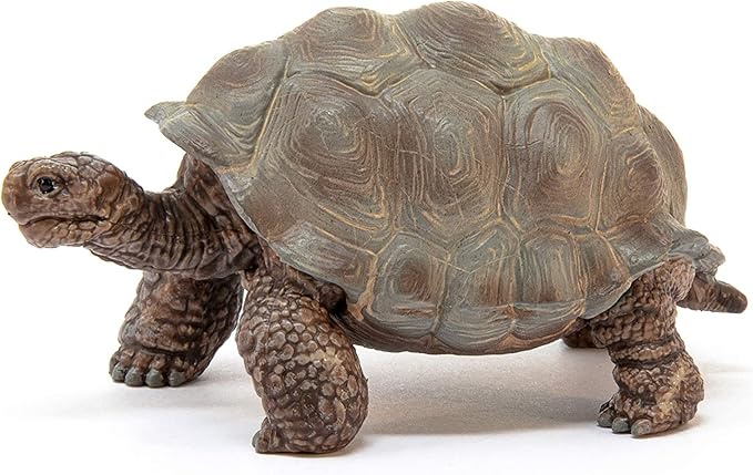 Schleich Wild Life Realistic Exotic Galapagos Giant Tortoise Figurine - Wild Animal Figurine Giant Tortoise Toy for Wildlife Play and Imagination for Toddlers Boys and Girls, Gift for Kids Age 3+ - Figurio