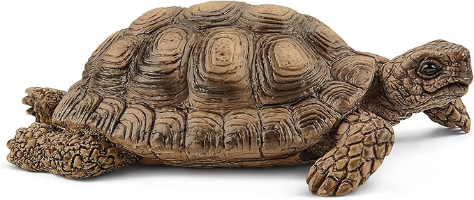 Schleich Wild Life 6-Piece Tortoise Toy Figure with Hatchlings and Turtle Home Playset for Kids Ages 3-8 (42506n) - Figurio