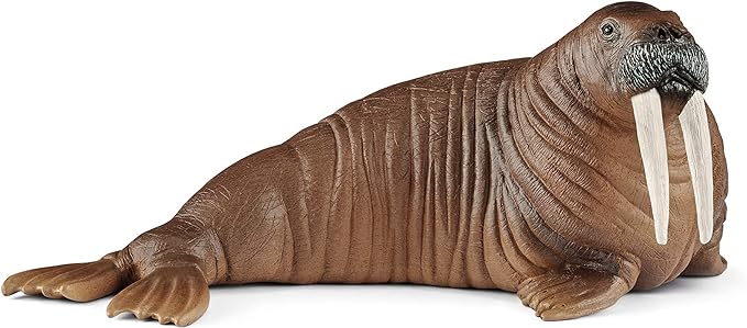 Schleich Wild Life, Animal Figurine, Animal Toys for Boys and Girls 3-8 Years Old, Walrus - Figurio