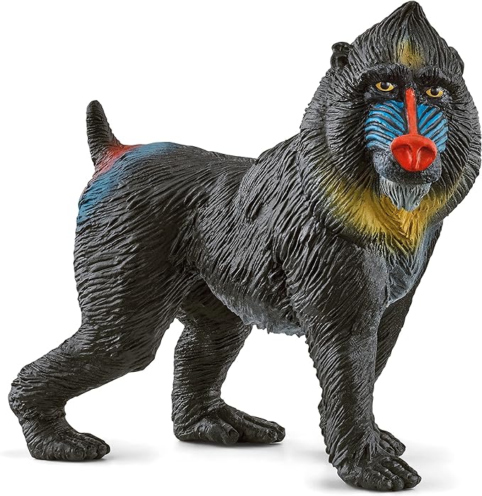 Schleich Wild Life Realistic Mandrill Monkey Figurine - Authentic and Highly Detailed Wild Animal Toy, Durable for Education and Fun Play for Kids, Perfect for Boys and Girls, Ages 3+ - Figurio