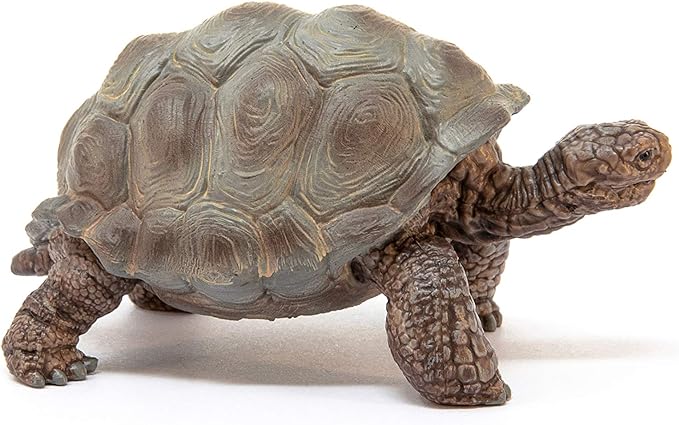 Schleich Wild Life Realistic Exotic Galapagos Giant Tortoise Figurine - Wild Animal Figurine Giant Tortoise Toy for Wildlife Play and Imagination for Toddlers Boys and Girls, Gift for Kids Age 3+ - Figurio