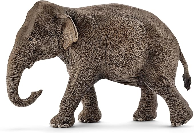 Schleich Wild Life, Realistic Wild Animal Toys for Boys and Girls, Female Asian Elephant Toy Figurine, Ages 3+ - Figurio